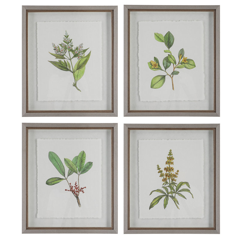 " Wildflower Study " 4 - Pieces