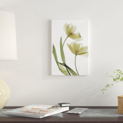 «X-Ray Tulip I», reproduction sur toile