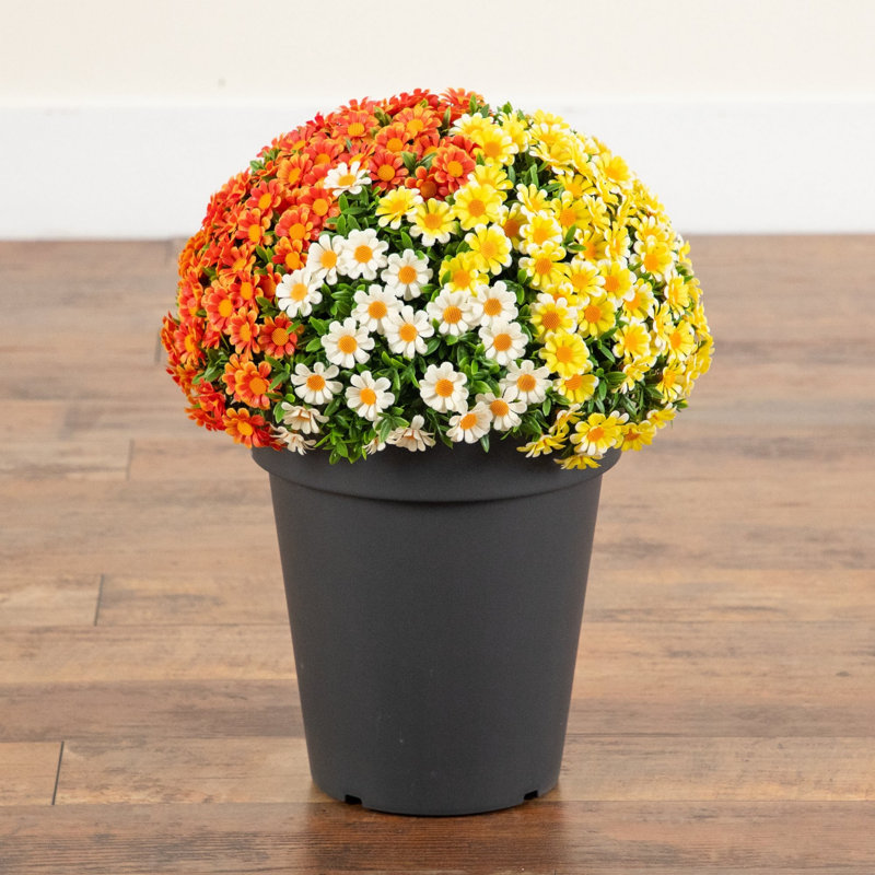 18 po Marguerite artificielle d'automne résistante aux rayons UV en pot (intérieur / extérieur), Orange/Yellow/White