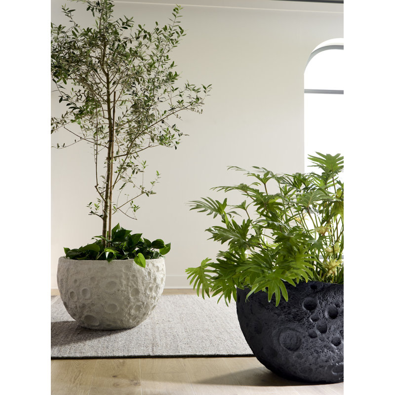 Crater Planter, White Stone, White Stone