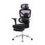 Fauteuil de bureau ergonomique avec support lombaire à massage, appui-tête 4D et accoudoirs 5D, dossier réglable haut et profondeur d'assise (noir)