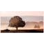 Photographie « plain view » sous verre