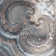Classical Circles Drop-In or Glue-Up Faux Tin Ceiling Tile - 24 in x 24 in
