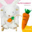 EvoNet Toy
