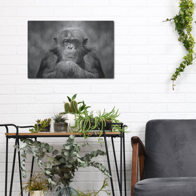 Chimp' by SD Smart, Metal Wall Art