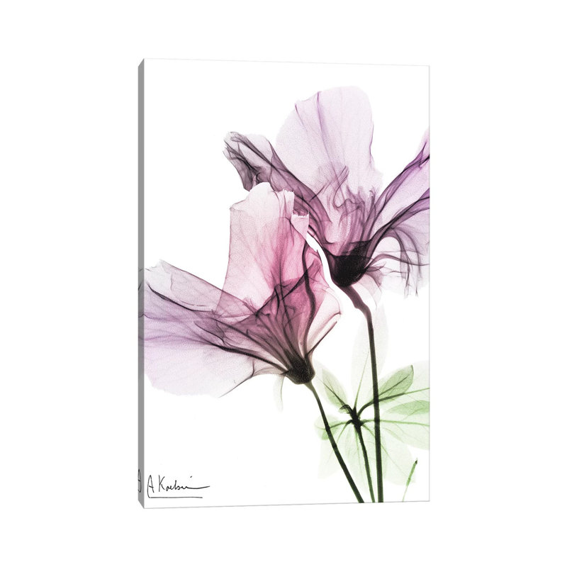 Splendid Beauty II by Albert Koetsier - Wrapped Canvas Print, 20.32 cm H x 30.48 cm W