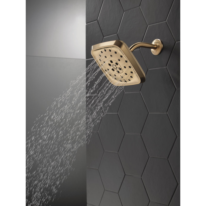 Rain Adjustable Shower Head with H2Okinetic Technology, Lumicoat Champagne Bronze