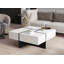 Bunita Coffee Table-1627444751