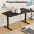 Putnam Height Adjustable Standing Desks-194064648-222829241