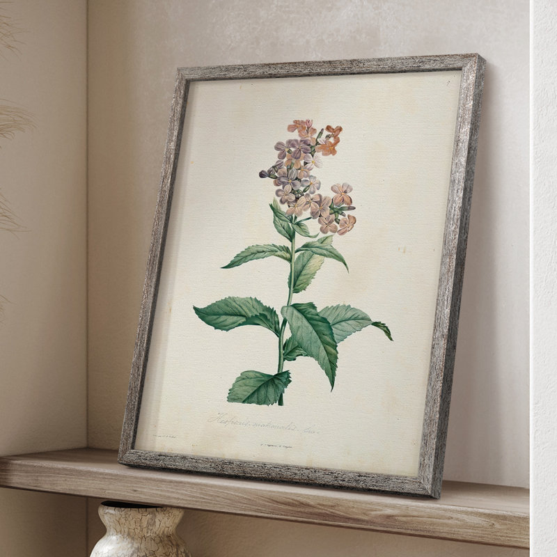 «Traditional Botanical II», reproduction encadrée - bois massif, H 30 po x l 24 po