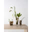 Squeeze Handmade Glass Table Vase-1583014832