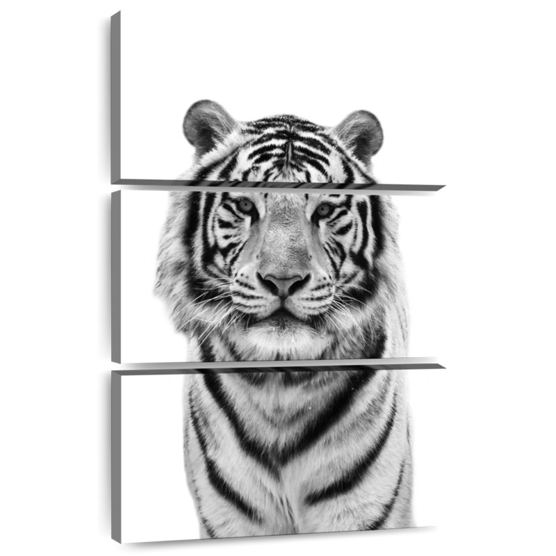 Tigre du Bengale monochrome Brampt, H 57 po x l 36 po