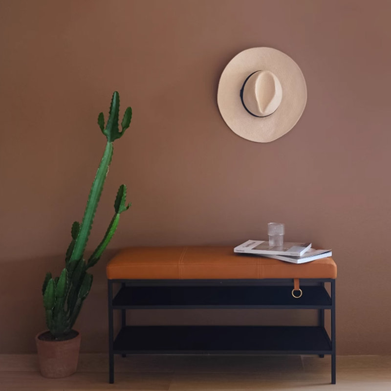 Modern Shoe Bench Bedside Shoe Rack, Brown