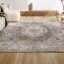 Tapis beige / ivoire Rosalia Cottage Medallion-612200919