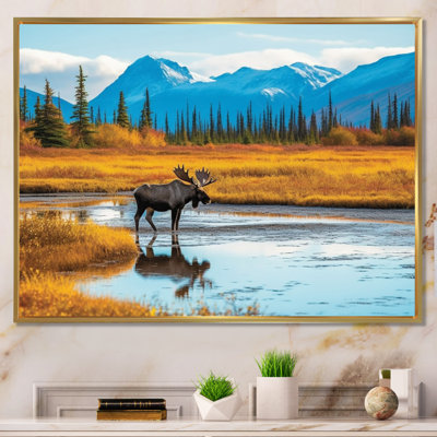 Orignal dans un paysage de l'Alaska II