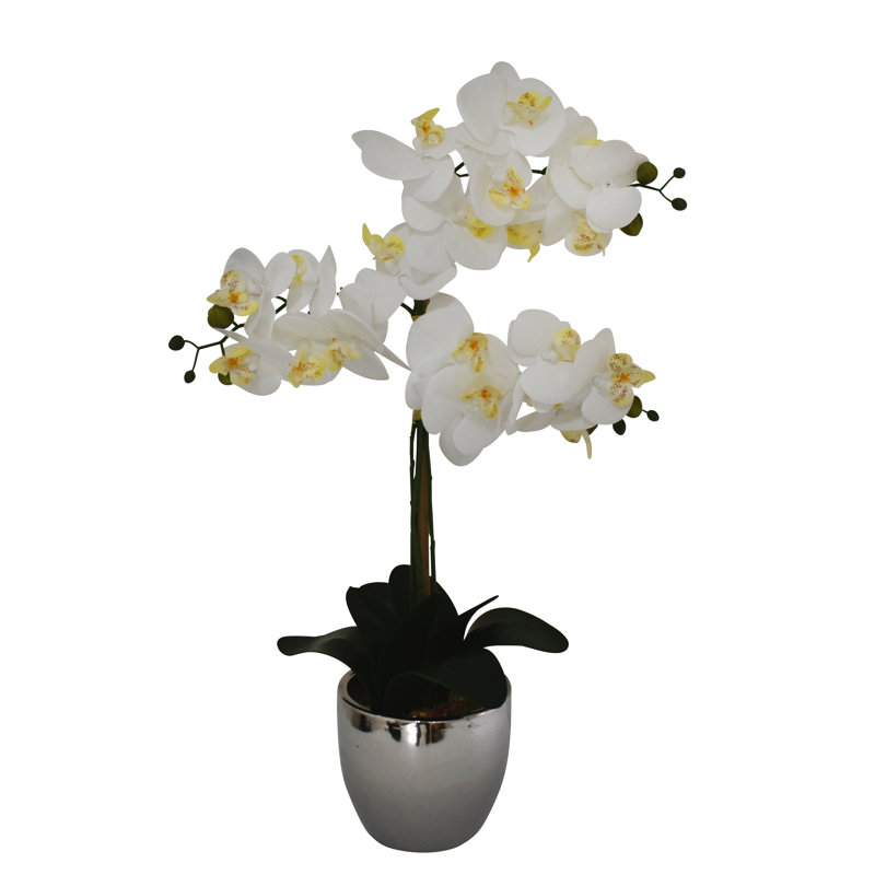 Arrangement orchidée véritable dans un vase argent métallique, White/Yellow
