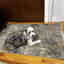 Customer photo 4 of 6