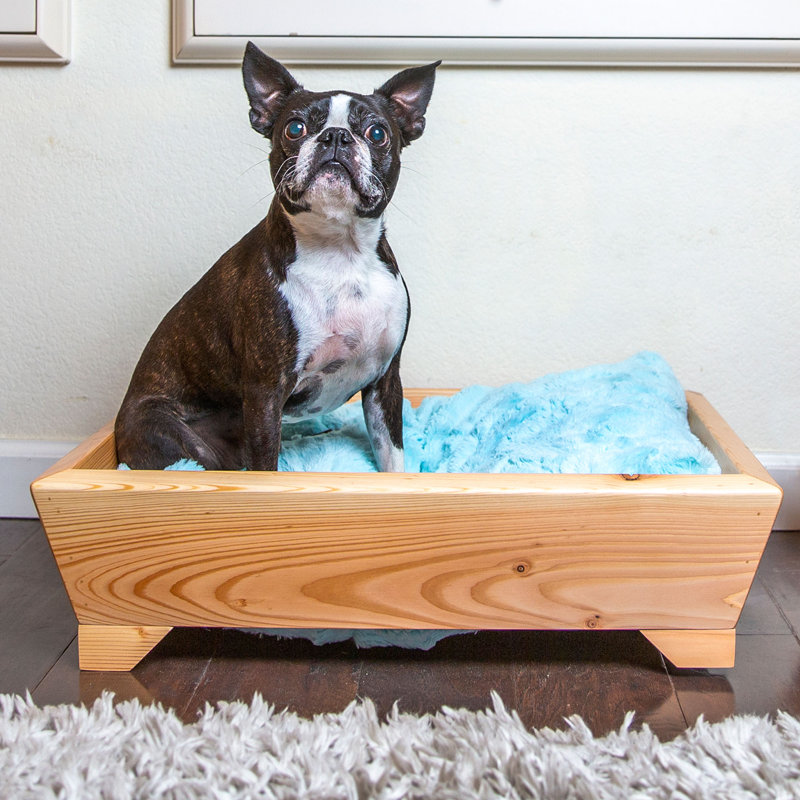 Canapé pour chien Verlin, Aqua