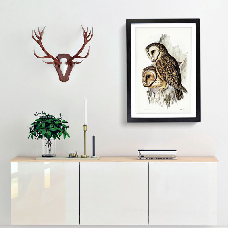 Chestnut-faced Owls by Elizabeth Gould - Picture Frame Painting Print, 65cm H x 48cm W x 2cm D, Black Framed