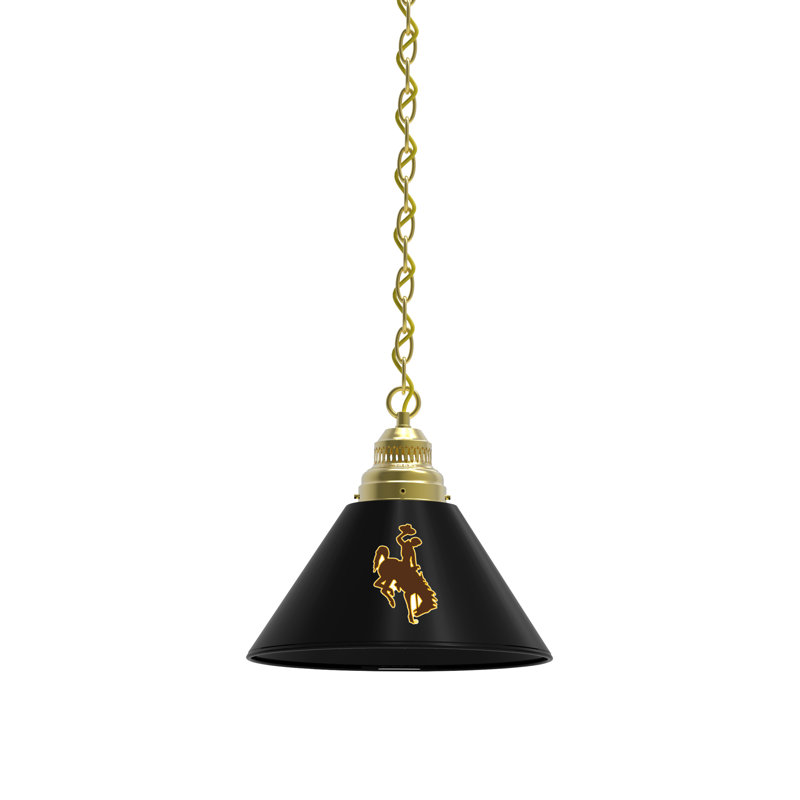 1 - Light Single Pendant, Brass, Wyoming Cowboys