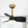 Haywa 28'' Ceiling Fan with LED Lights