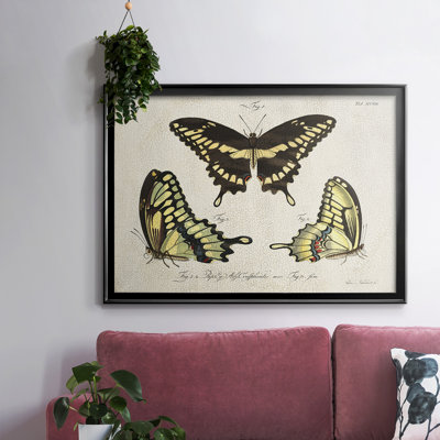 «Crackled Butterflies I», reproduction d'art sur toile
