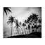 Soleil couchant sur la toile de San Diego, conception par Susan Jill-336136349