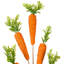 Vickerman 26" Artificial Orange Carrot Spray 2/Bag. Great addition to any spring or Easter decorating.