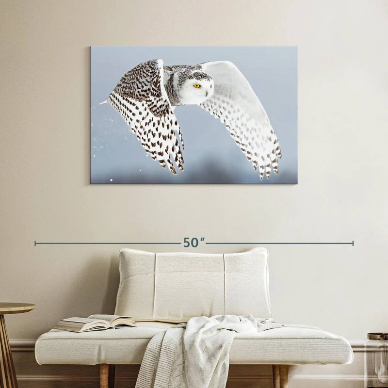 Brampt White Snowy Owl