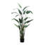 Elspeth 5.5' Faux Water Canna in Liner