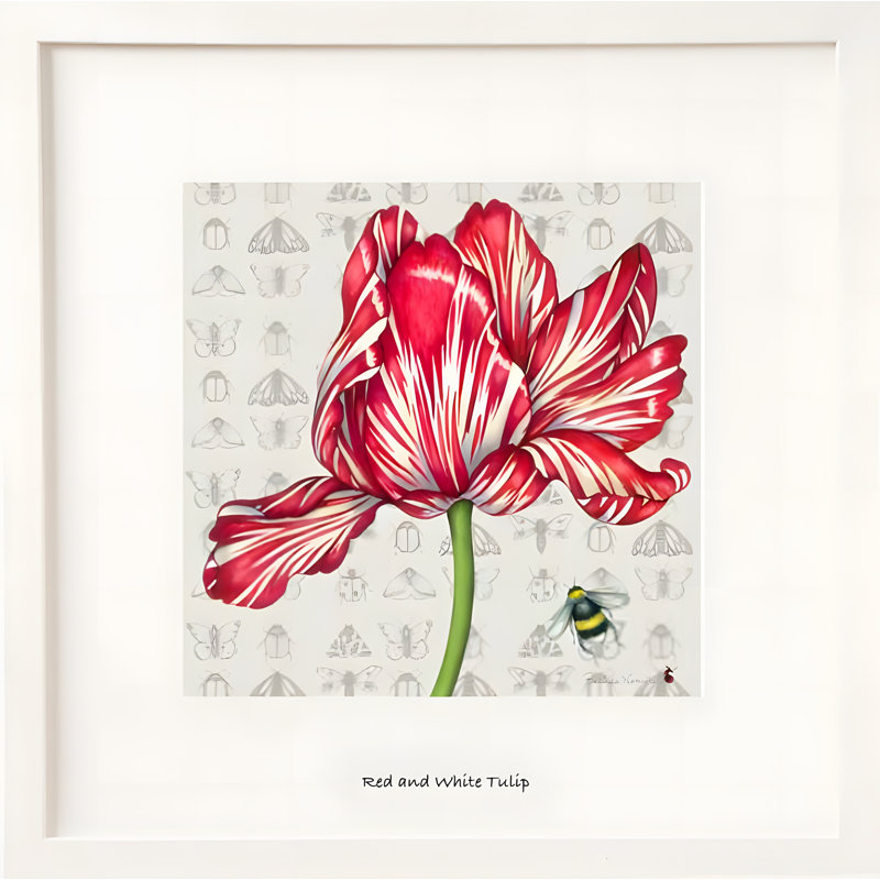 Positivity Collection 3 Piece Floater Frame Print