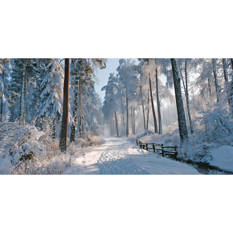 «Alpine Pines in Winter Mist», art mural sur toile tendue, H 24 po x l 48 po