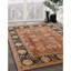 Tapis bleu marine / brun à motif floral Craigville-981515856