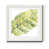 White Framed Print