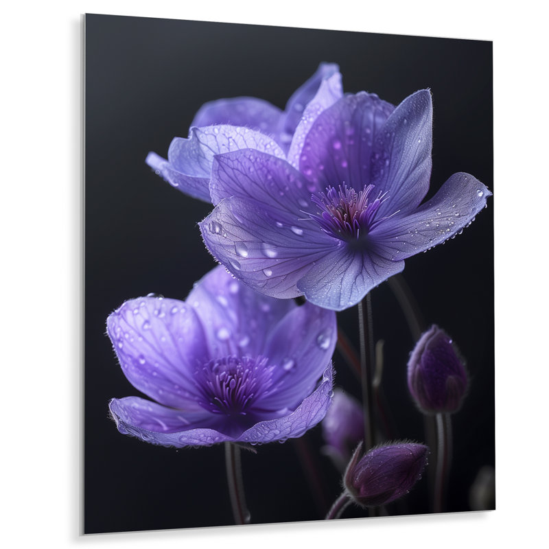 Mono mauve noir Buttercups Moonlit Kiss - Buttercups Wall Art, Métal métal, H 32 po x l 16 po x P 1 po