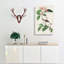 Bachmans Finch by John James Audubon - Wrapped Canvas-55363376