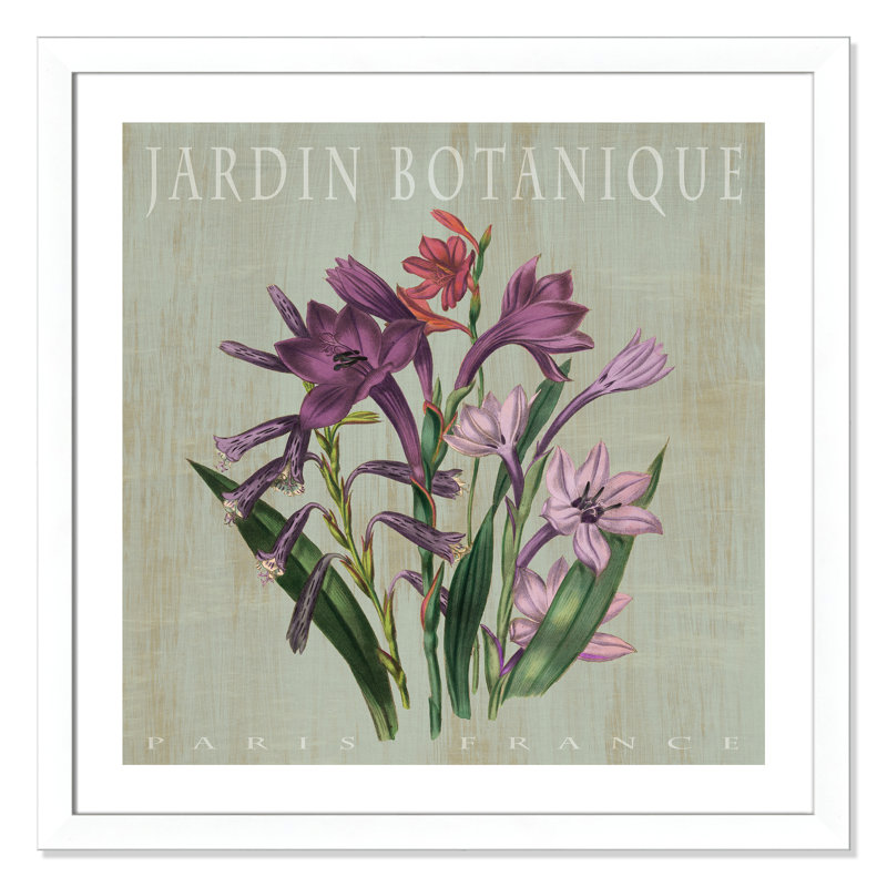 «Botanical Posters», Jardin Botanique II, cadre photo, H 33,5 po x l 33,5 po x P 1,25 po, Blanc
