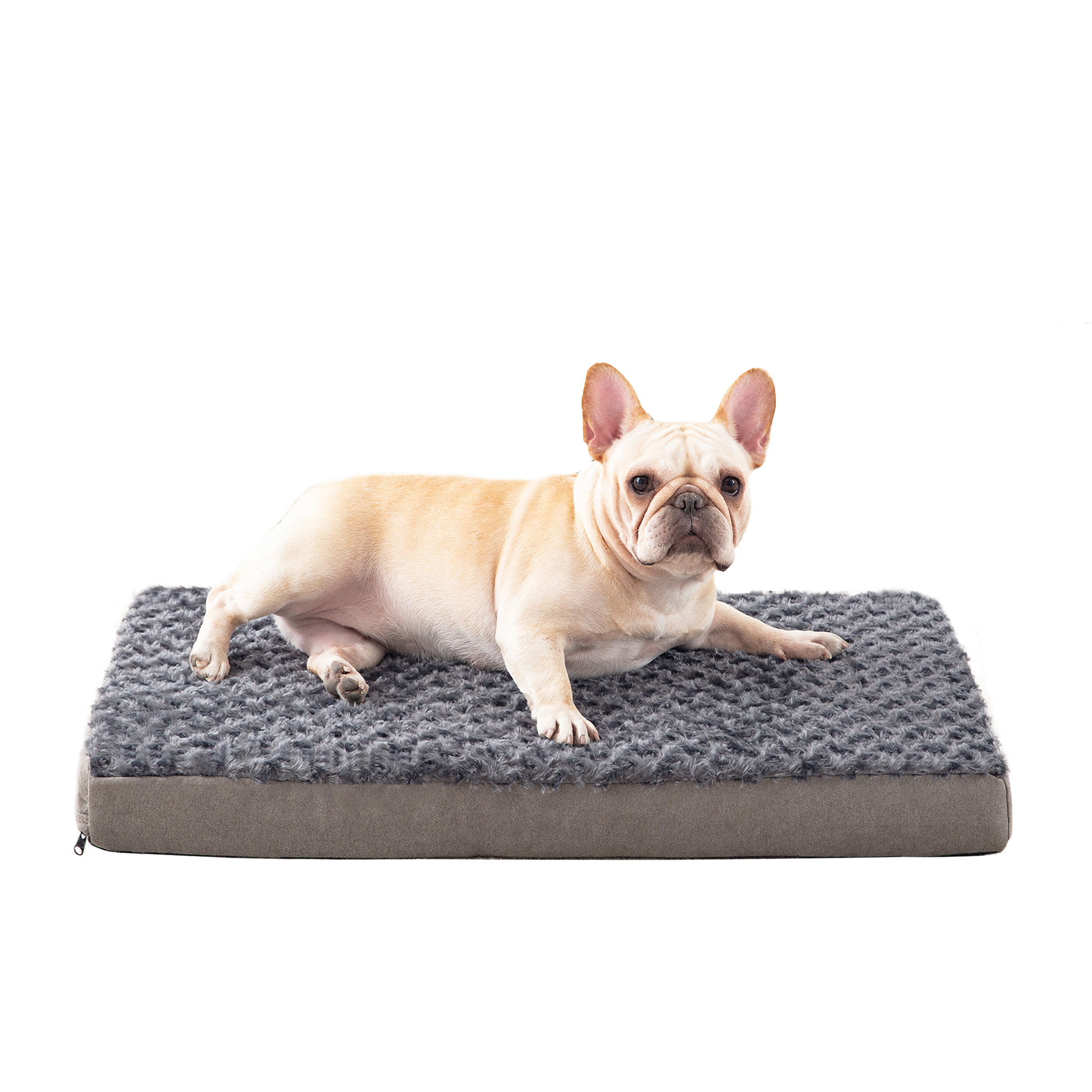Tucker Murphy Pet™ Orthopedic Memory Foam Dog Bed, Cooling Dog Beds