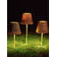 Poldina Wicker Shade-684690617-702328528