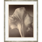 Sepia Flowers 7 Print by Bespoke By Baker