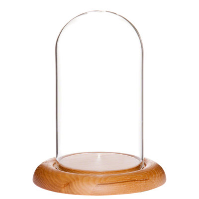 Vucciria 3" x 5" Glass Display Dome Cloche