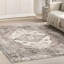 Tapis lavable en machine Teo Medallion pour le salon, la chambre et la cuisine, gris clair / ivoire-1459685082