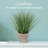 Elements Artificial Grass Plant