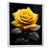 White Floater Framed