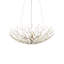 Shinju 4 - Light Chandelier