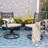 Carli 6 - Person Patio Dining Set with Rectangular Table , Cushions Included
