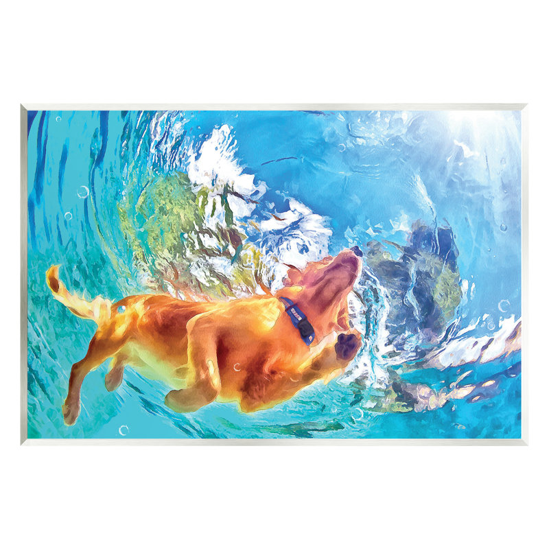 Stupell Industries, chien nageant sous l'eau, art mural par Masey St. Studios, H 13 po x l 19 po x P 0,5 po