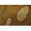 Tapis népalais authentique 8 x 10 Népal