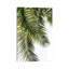 Palm Leaves by Lexie Greer - Print on Canvas-101416024-101416026