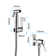 Hand Held Bidet
